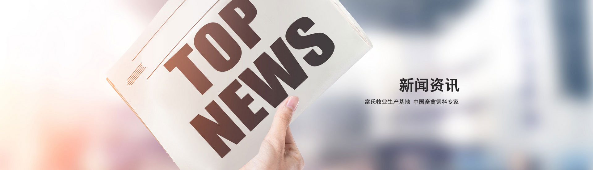 新闻资讯